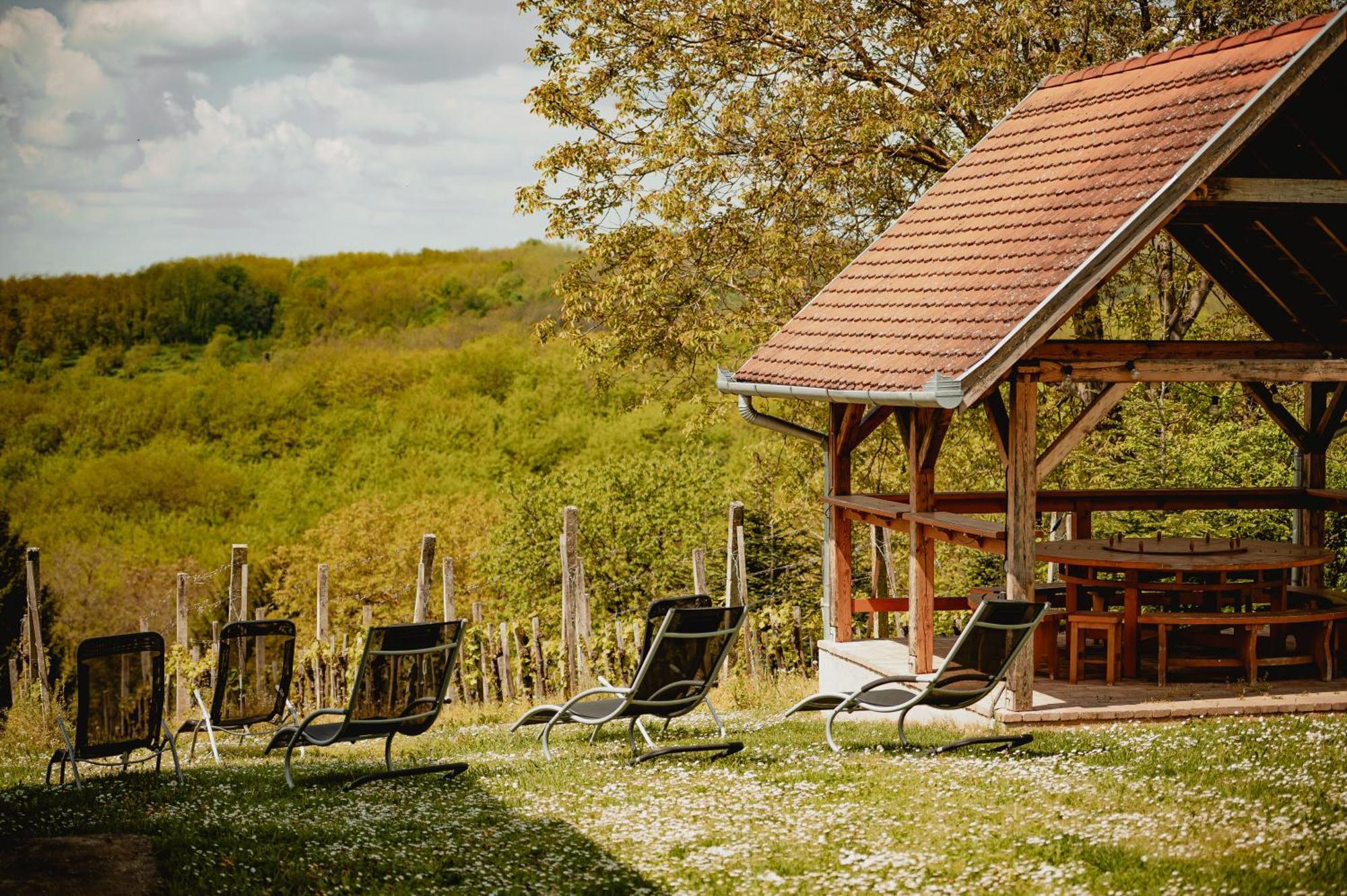 Förhénc Wine House&Guesthouses I-II-III Nagykanizsa Esterno foto